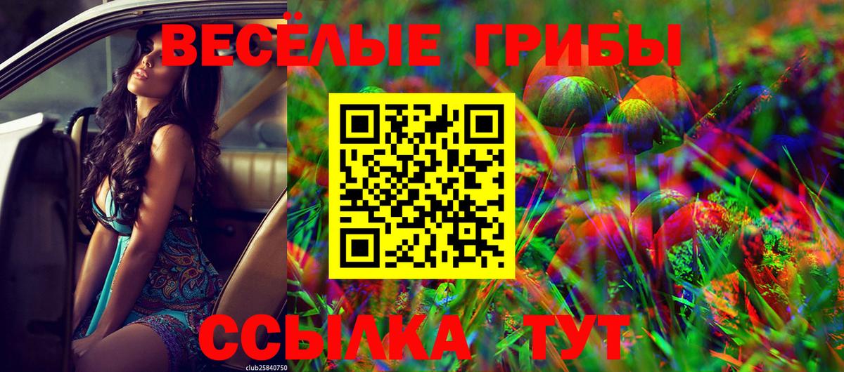 Галлюциногенные грибы GOLDEN TEACHER Кулебаки