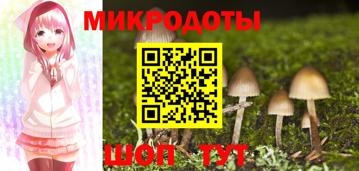 закладки  Вход с VPN  Кулебаки  Галлюциногенные грибы Magic Shrooms 